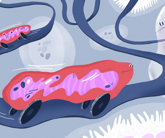 article thumbnail